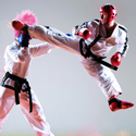 Taekwon-Do