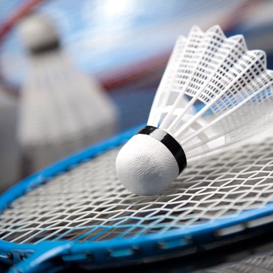 Badminton libre Ste-Thérèse